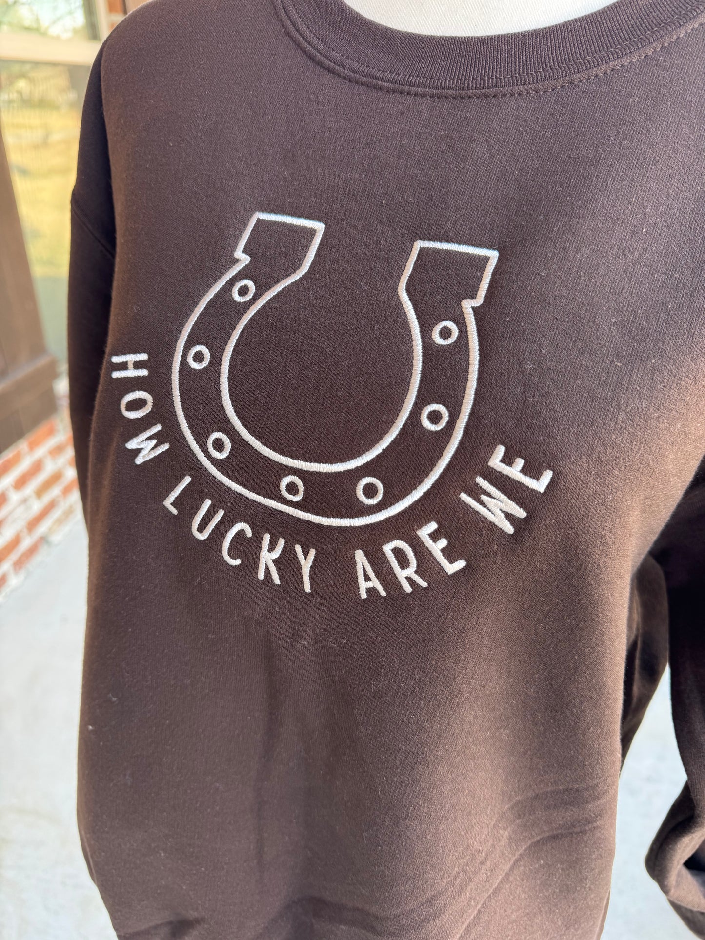How Lucky Are We Sweatshirt